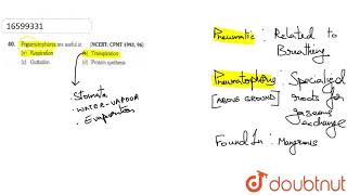 Pneumatophores are useful in [upl. by Pass562]