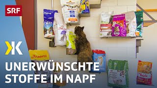 Katzenfutter im Test Gesundheitsgefährdende Stoffe im Katzennapf  2018  Kassensturz  SRF [upl. by Sascha898]