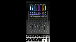 You Can with EUCON Control plugins with faders on the Avid S1 [upl. by Ayotol152]