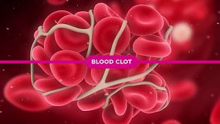 Coagulation Cascade Explained [upl. by Seraphina812]