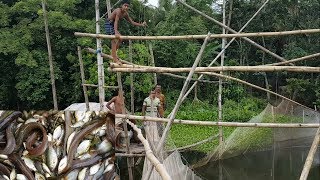 Amazing Way Of Fishing  Most Oldest Way Of Catching Fish In Rural Village Bangladesh [upl. by Atok]