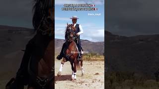 CABALLO PERUANO DE PASO 🇵🇪 Cultura Peruana historia El CABALLO mas HERMOSO MARINERA VALS PERUANO [upl. by Kulsrud]