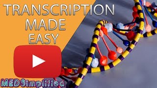 Transcription Made Easy From DNA to RNA 2019 [upl. by Ahsikin]