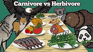 Carnivore vs Herbivore Animals  Learn What Animals Eat In The Forest  Drawing and Coloring Animals [upl. by Pinkerton]