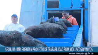 SECHURA SANIPES INICIA PROYECTO DE TRAZABILIDAD PARA MOLUSCOS BIVALVOS [upl. by Lleryd]