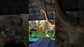 Dinosaur park gurugram [upl. by Anilosi]