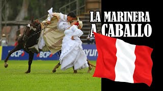 🤩🇵🇪 Caballo Peruano Bailando  La Marinera Peruana  MARINERA CON CABALLO DE PASO [upl. by Arrec822]