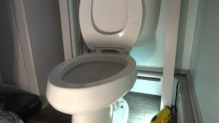 TOILET LEAKING WATER ON FLOOR HOMEOWNER SPECIAL [upl. by Madlin331]