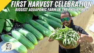 First Harvest From The Biggest Aquaponic Farm in The Philippines [upl. by Haskins]