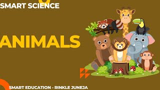 Animals  Classification of Animals science animals [upl. by Moulden54]