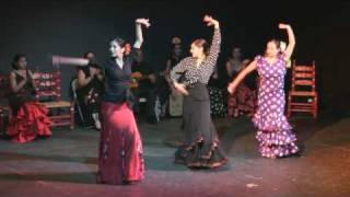 Flamenco Dance Tarde Andaluza [upl. by Chace]