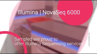 Sampled Tech Spotlight  Illumina NovaSeq 6000 [upl. by Eanerb]