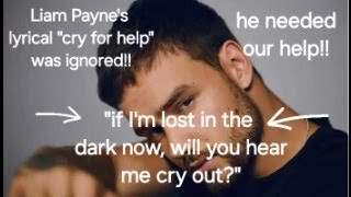 Liam Paynes OBVIOUS CRIES FOR HELP How did we miss it liampaynedeath youtuber viral popnews [upl. by Helena]