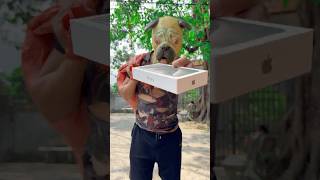 The story of the dog giving the man an iPhone 📱 dog trending viralvideo shortvideo iphone [upl. by Sib576]