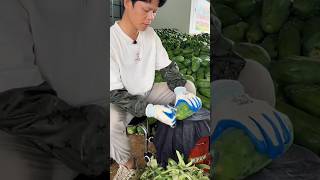 Turnover of millions from papaya cultivation 😱💯shorts youtubeshorts ytshorts shortvideo [upl. by Brag]