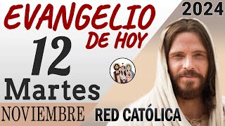 Evangelio de Hoy Martes 12 de Noviembre de 2024  REFLEXIÓN  Red Catolica [upl. by Geraldina]