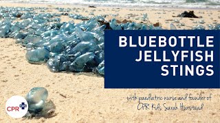 Bluebottle Jellyfish stings what to do if your child is stung [upl. by Ardisi]