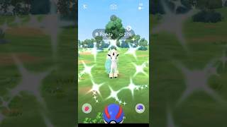 Shiny GPonyta pokemongo [upl. by Anihs173]