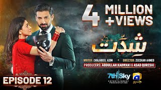 Shiddat Episode 12 Eng Sub  Muneeb Butt  Anmol Baloch  19th March 2024  HAR PAL GEO [upl. by Ahrendt]