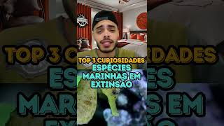 ESPÉCIES MARINHAS EM EXTINSÃO  TOP 3 CURIOSIDADES [upl. by Kosaka]