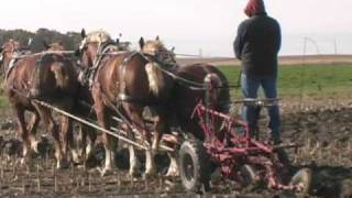 Great Lakes International Draft Horse Show amp Pull [upl. by Aviv]