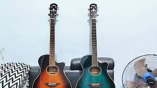 Review Dua Gitar Yamaha Apx600 Original Bekas Like New [upl. by Hainahpez]