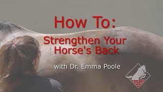 Strengthening Your Horses Neck Back and Pelvis Develop the Topline with Three Easy Exercises [upl. by Yr687]