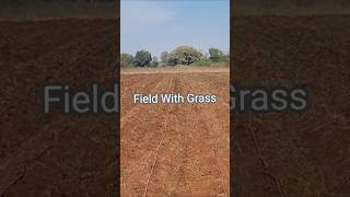 Herbicide Applied in Open Field herbicide shorts [upl. by Stewart]