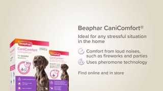 Beaphar CaniComfort® Diffuser  Dogs Will Be Dogs [upl. by Schlessel]