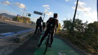 GIANT TCR ADVANCED 2 KOM で行く GSCCライド『しまなみ海道ですよ』④ [upl. by Tiffanle16]