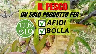 AFIDI E BOLLA DEL PESCO UNICO PRODOTTO PER DUE PROBLEMI [upl. by Anrak546]