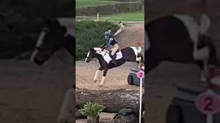 Showjumping vs CrossCountry horse equestrain horseriding equestrainlife [upl. by Reinhart54]