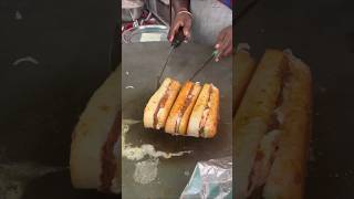 Hot Dog  Biggest Hot dog for ₹70 only  Krishna Nagar  Indian street food [upl. by Eolhc]