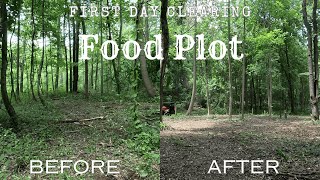 Starting on the Food Plot [upl. by Ahsinut]