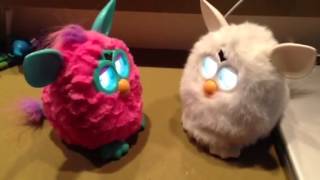 Furbies talking to each other [upl. by Kahn]