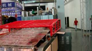 Fullautomatic Plastic Thermoforming Machine without Stacker [upl. by Rosel]