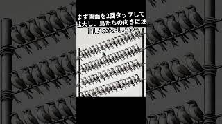 たくさんの鳥が止まっている電線の上から、1羽だけ逆向きの鳥を探せますか？ 違和感 違いを見つける 違い ショート 違う [upl. by Elram]