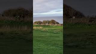 Hunstanton parkrun parkrun parkruntourism parkrunuk [upl. by Nenney51]