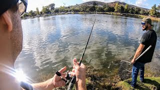 Santee Lakes Trout Opener 2024Monster Fish Caught [upl. by Jodie18]