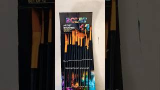 I bought paint brush from meesho 🧿✨ paint brush review shorts viralshorts [upl. by Eamaj]