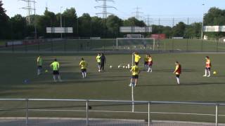 Fussballtraining mit Peter Hyballa  Positionsspiele mit Balljagd und Felderwechsel 3 [upl. by Rich]