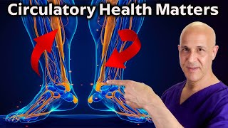 How to Increase Blood Flow and Leg Circulation for Enhanced Energy amp Health Dr Mandell [upl. by Treblih]