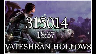 ESO  315K Vateshran Hollows Magicka Warden  Scions of Ithelia u41  PSNA [upl. by Payne]