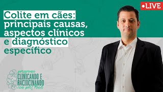 Colite em cães principais causas aspectos clínicos e diagnóstico específico [upl. by Finnie]