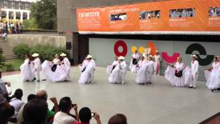 Ballet Folklórico CitlaliVeracruz Sotavento El colas [upl. by Sherr]