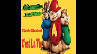 moroccan chipmunks songs cheb khaledCest la vie [upl. by Nnylireg]