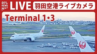 【ライブカメラ】羽田空港 quotT1quot quotT3quot HANEDATokyo International Airport（日テレNEWS LIVE） [upl. by Pelletier]