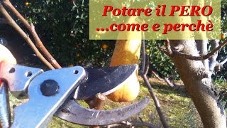 POTARE IL PERO [upl. by Ahkihs]