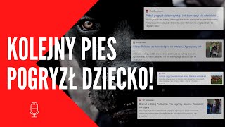 UWAGA  ZŁY PIES CZY OPIEKUN   LIVE z Behawiorystą  podcast [upl. by Mulligan525]