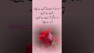 Dost ki pehchan quotes quranurdu islamicquotes quranurdurecitation shortvideo [upl. by Cleo96]